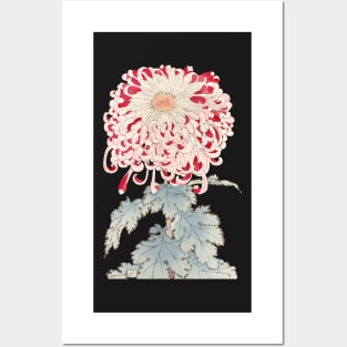 Pink Chrysanthemum 4 - Hasegawa - Traditional Japanese style - Botanical Illustration Posters and Art